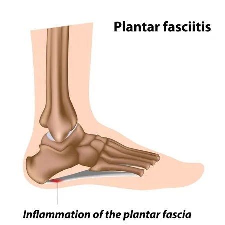 6 CE Hour Advanced Medical Foot Massage (Computer-Based Live Interactive Webinar)