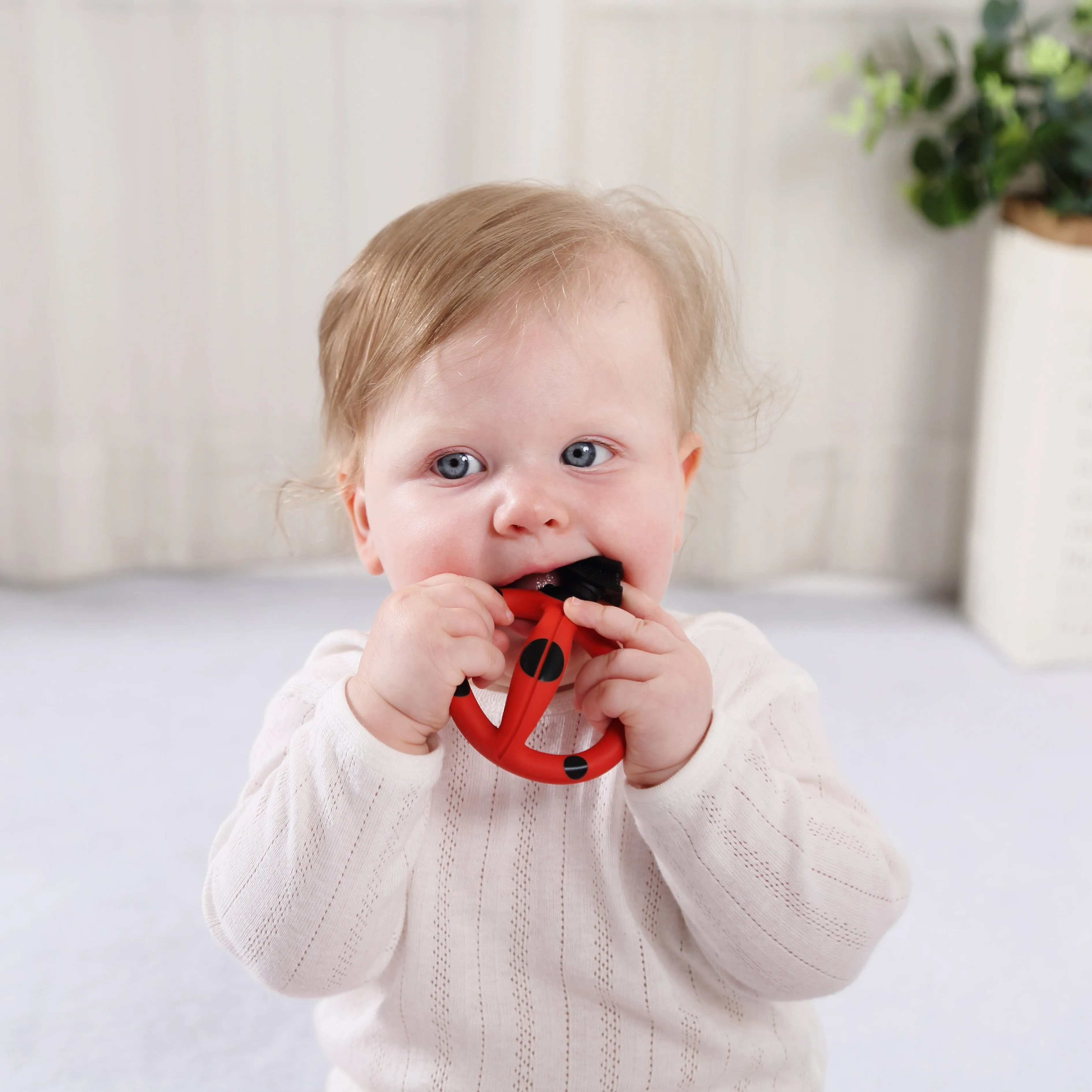 Baby Teething Toothbrush - Ladybug