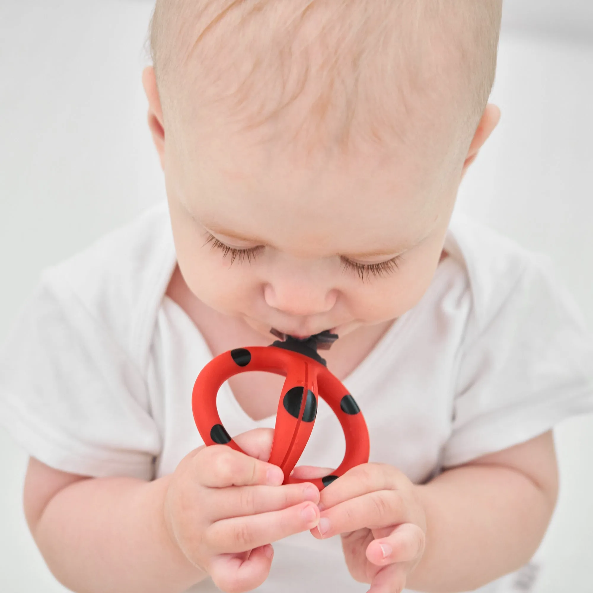 Baby Teething Toothbrush - Ladybug