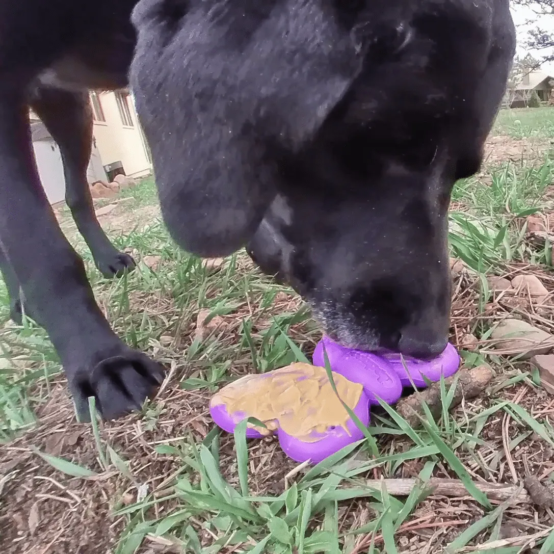 Butterfly eChew Durable Nylon Chew and Enrichment Toy