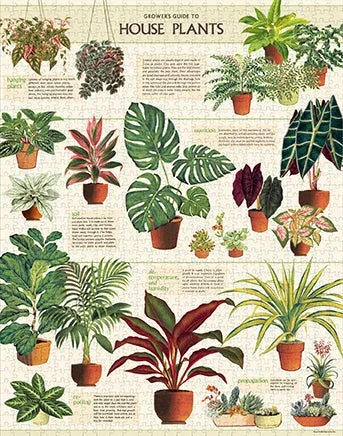 Cavallini & Co. House Plants 1000 Piece Puzzle