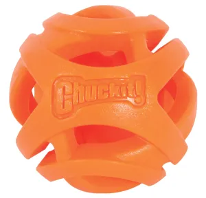 Chuckit! Breathe Right Ball Toy