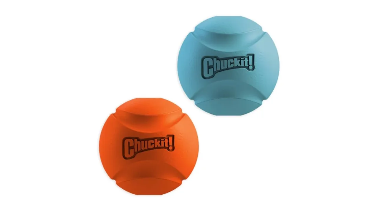 ChuckIt! Fetch Ball Small 2pk