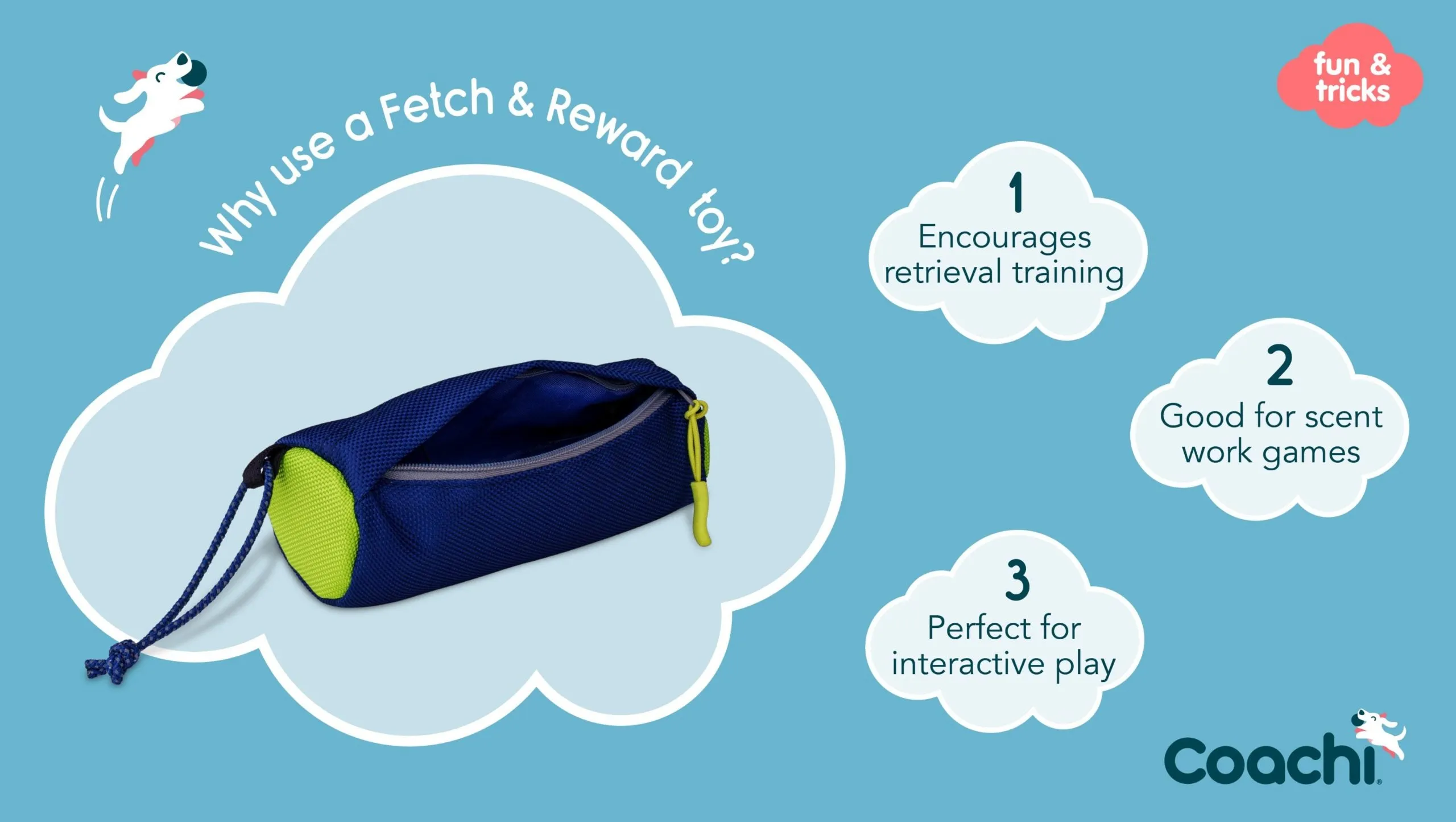 Coachi Fetch & Reward Navy & Lime