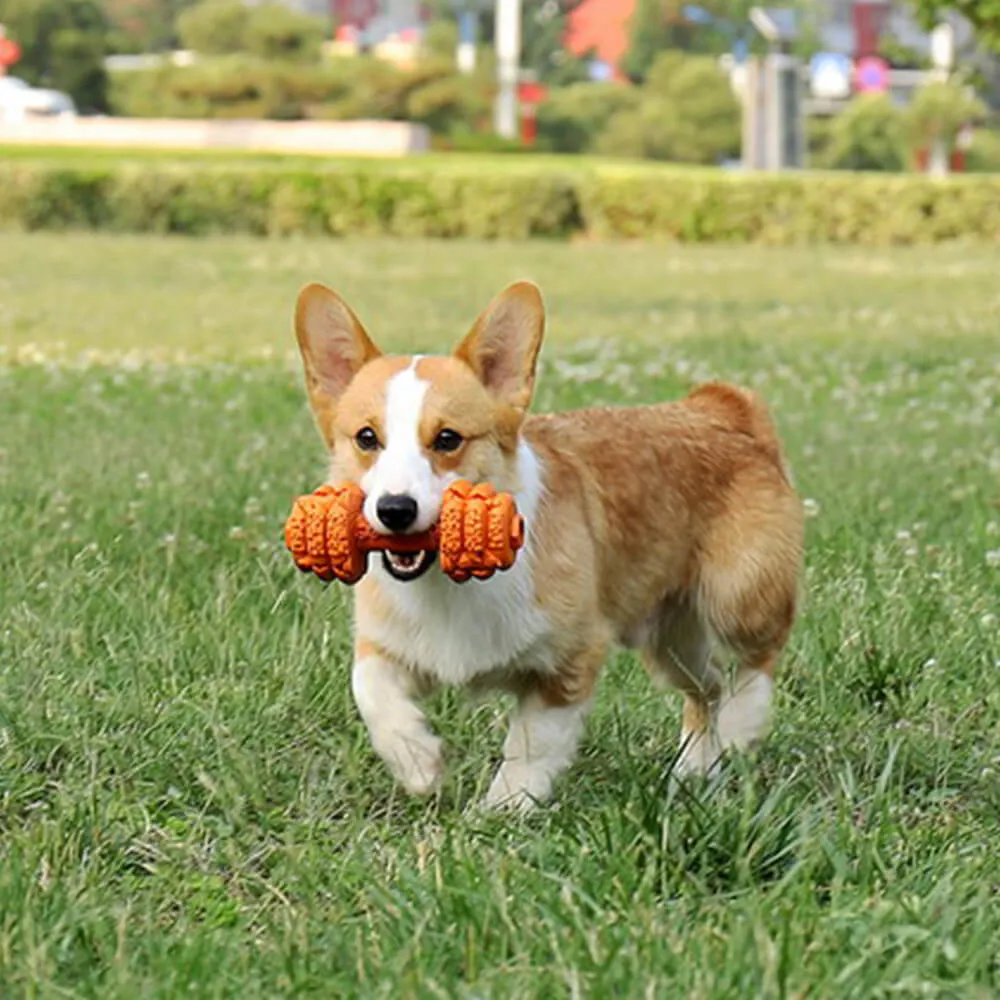 Dumbbell Silicone Slow Feeder Durable Interactive Dog Toy