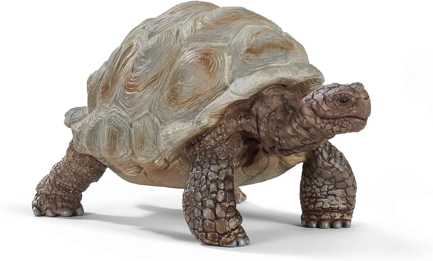 Figurine | Giant Tortoise