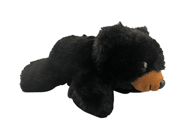 Floppy and Irresistible Black Bear Plush