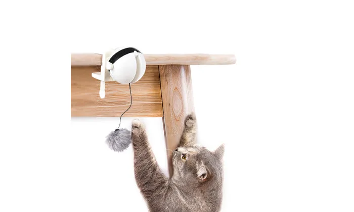 Interactive Cat Toy