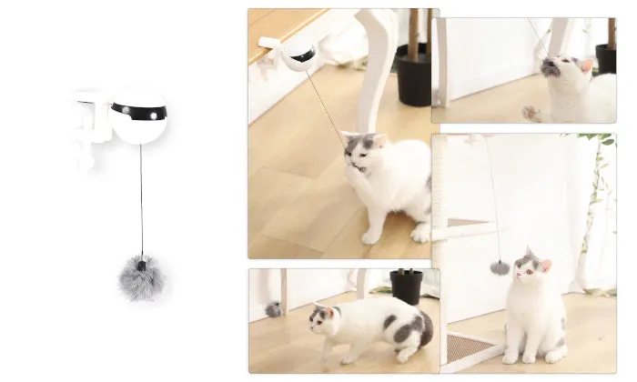 Interactive Cat Toy