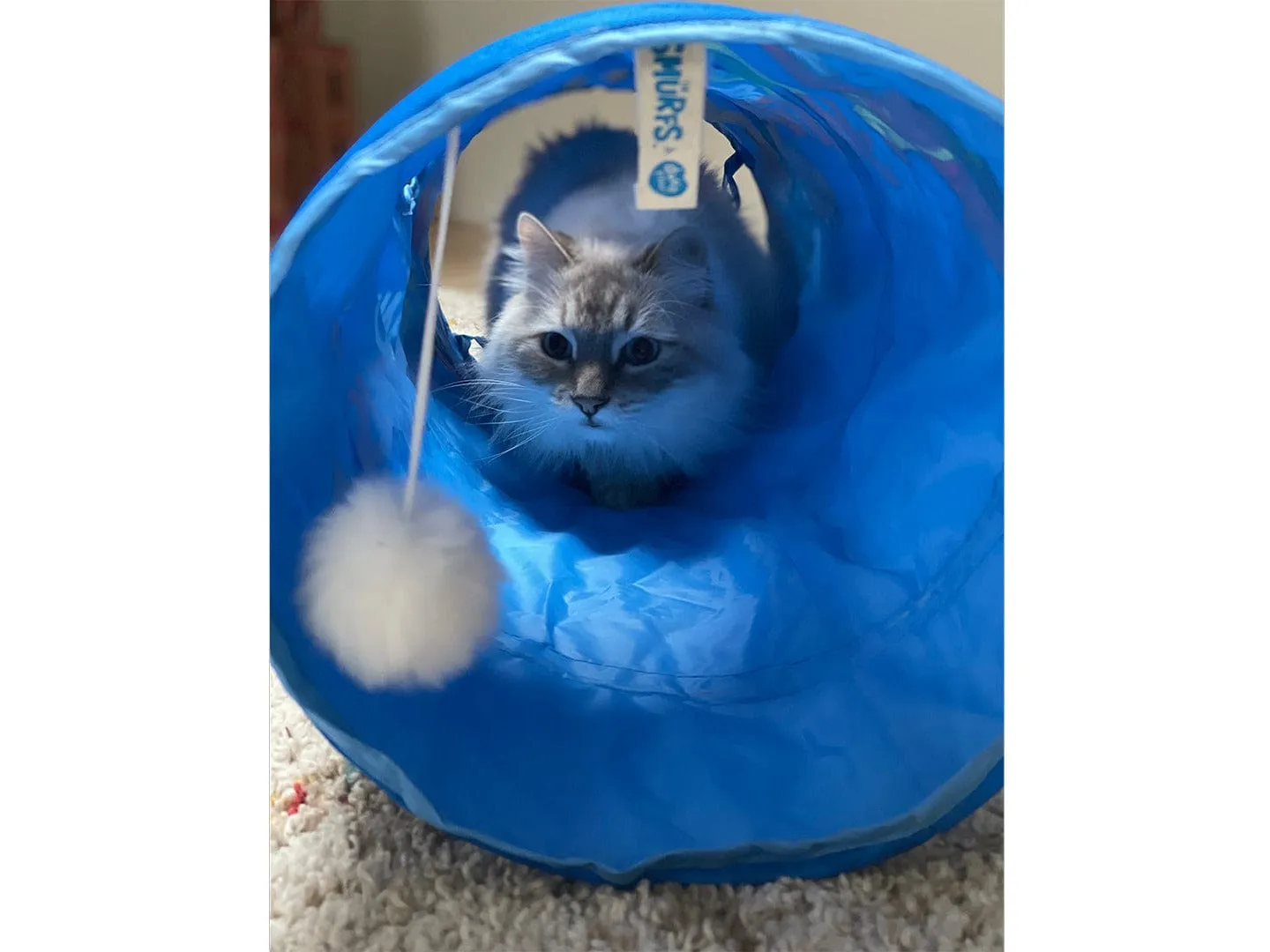 Jeptpack Smurf cat tunnel 72x25x25 blue