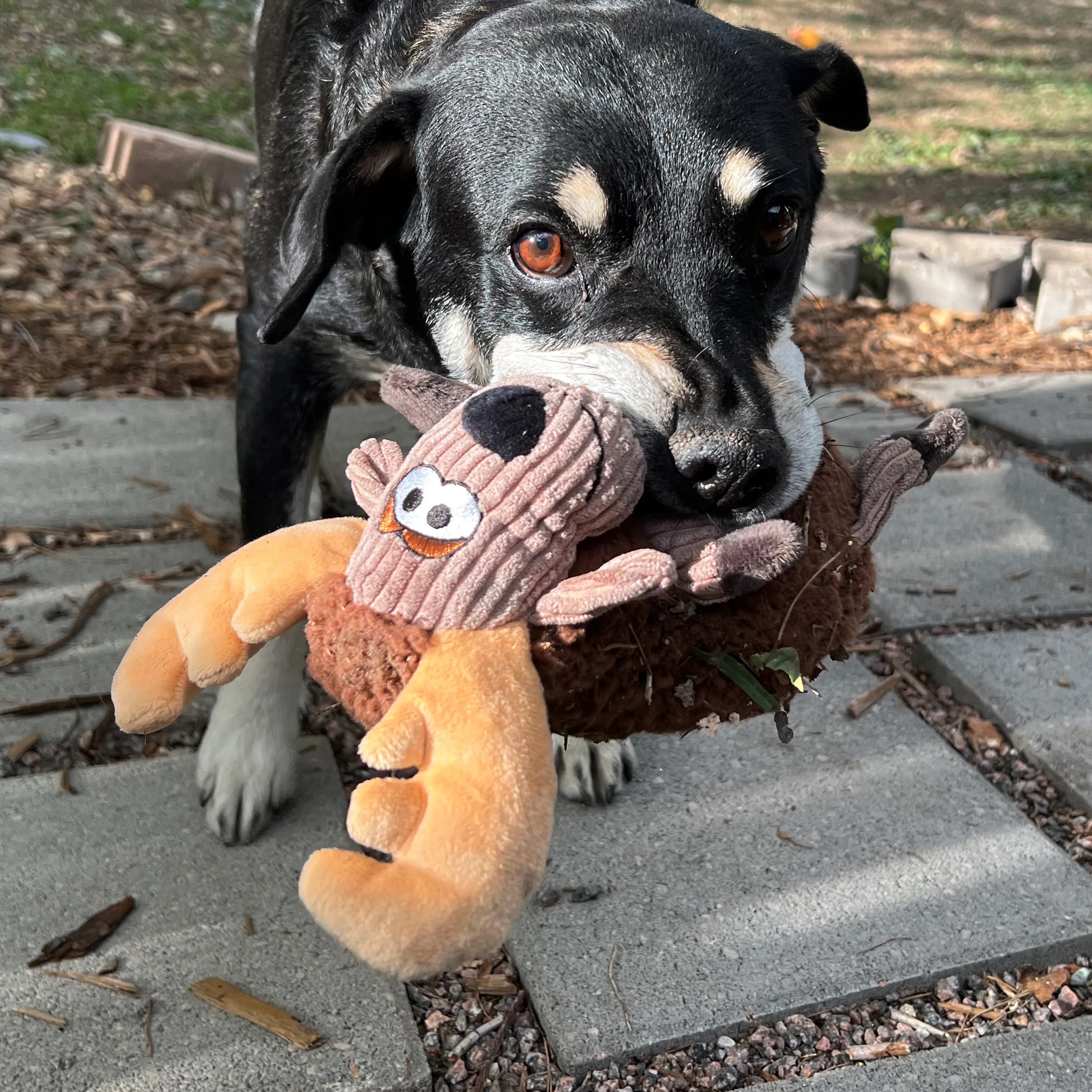 Kong Sherps Floofs Moose Dog Toy