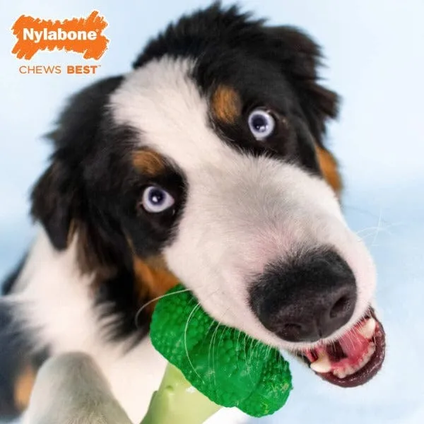 Nylabone Power Chew Broccoli Dog Toy