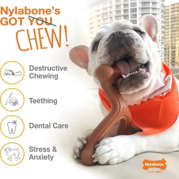 Nylabone Power Chew Textured Ring Bone Dog Chew Toy