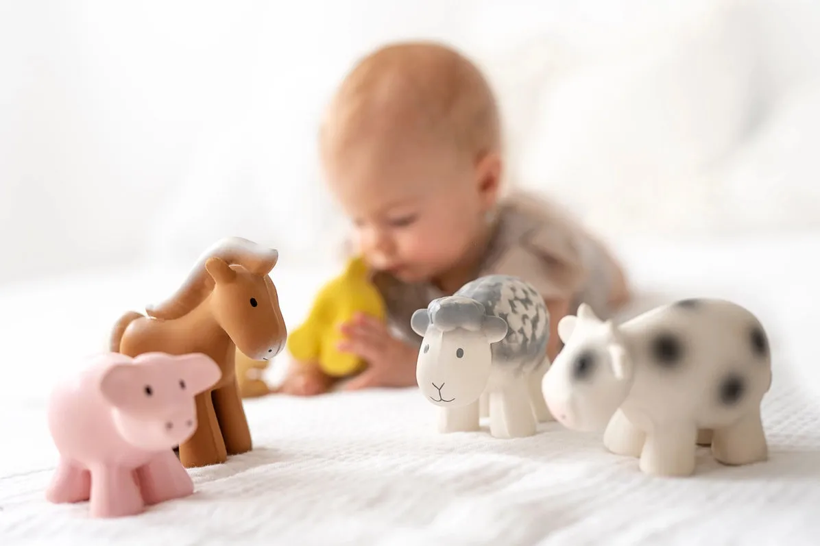 Pig Natural Rubber Teether, Rattle & Bath Toy