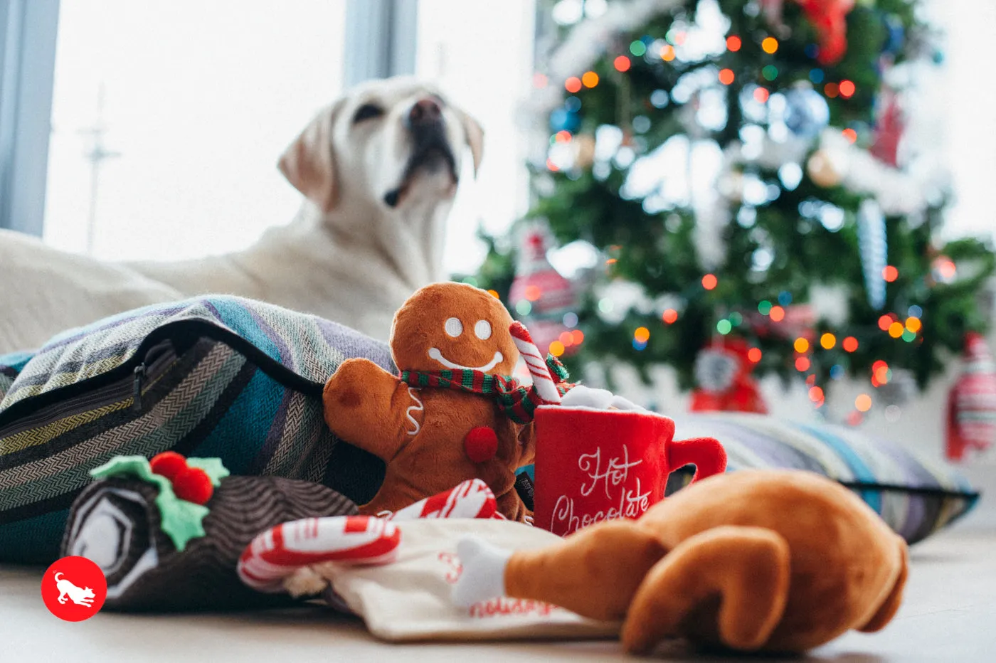 P.L.A.Y. Holiday Classic: Cheerful Candy Canes