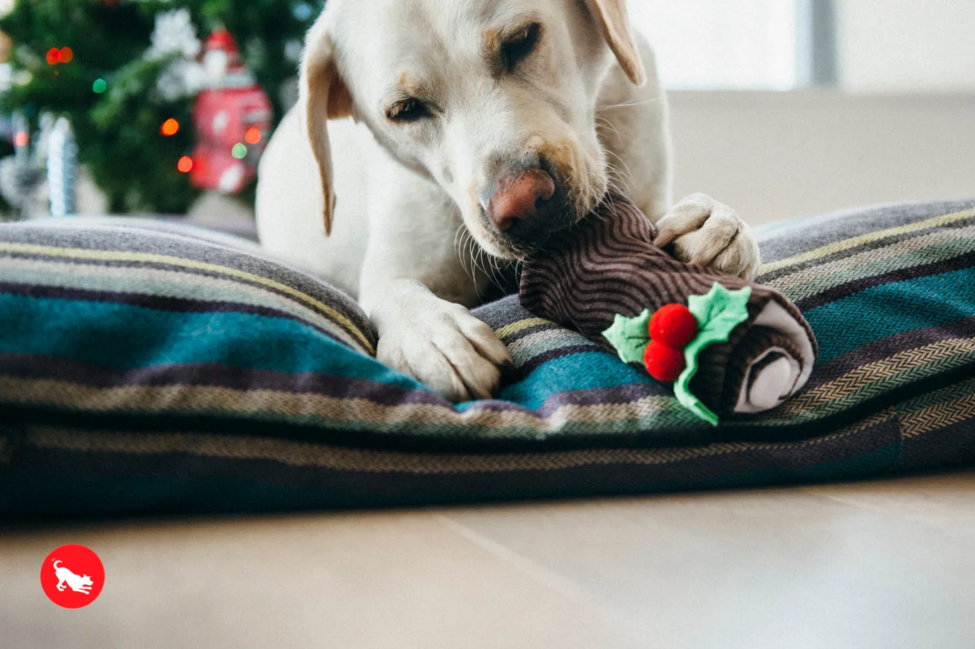 P.L.A.Y. Holiday Classic: Yummy Yuletide Log