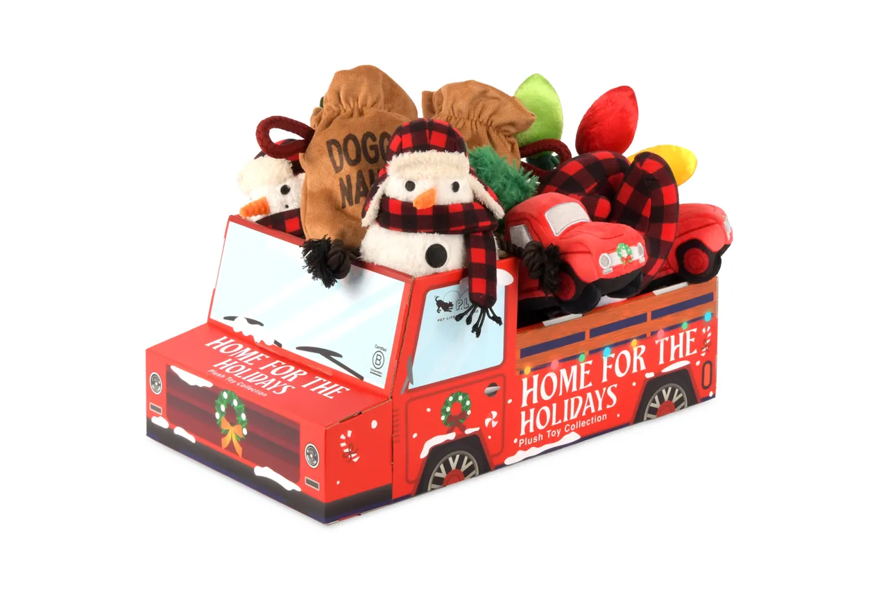 P.L.A.Y. Home for the Holidays Interactive Dog Toy, Bundle