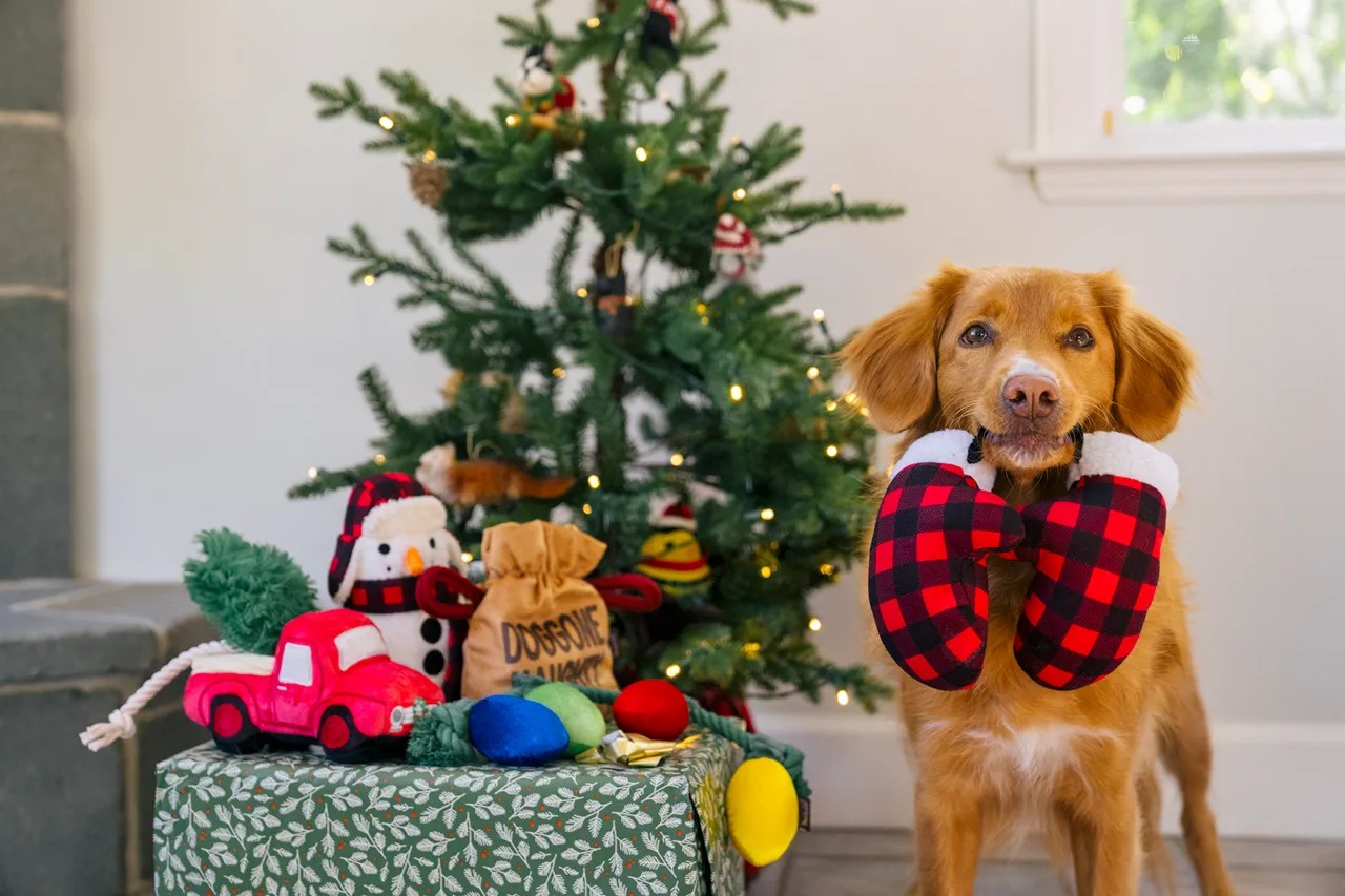 P.L.A.Y. Home for the Holidays Interactive Dog Toy, Snowman