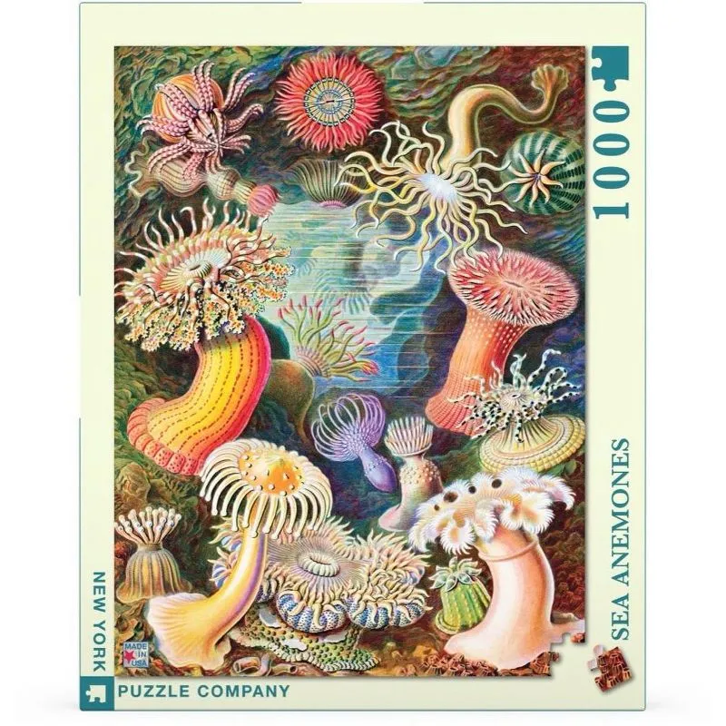 Puzzle, Anemones