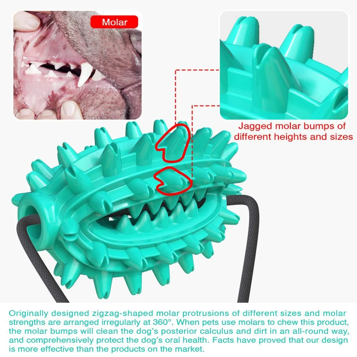 Single Suction Multifunction Interactive Chewy Dog Toy