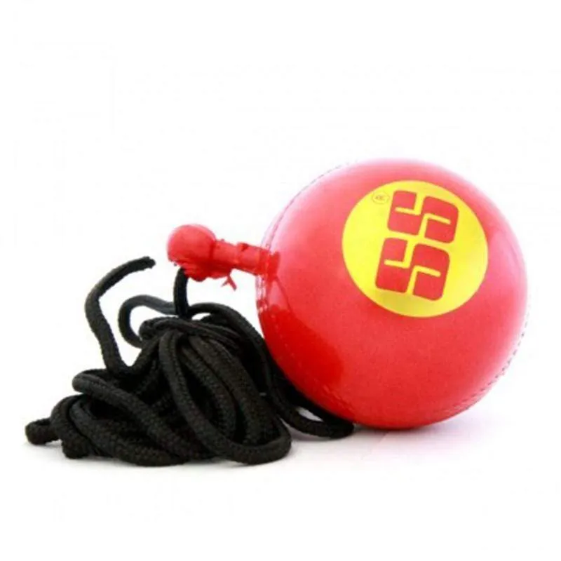 SS Cricket Practice Hanging Ball